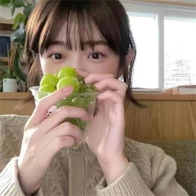 贵客光临